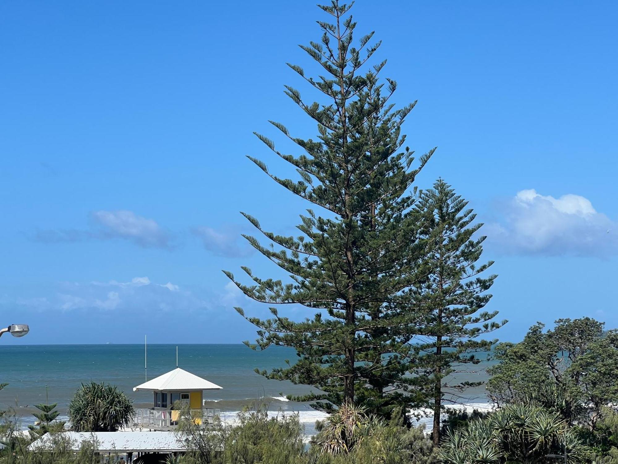 Ocean View - Alexandra Headlands Beachfront Unit Exteriér fotografie
